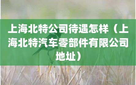 上海北特公司待遇怎样（上海北特汽车零部件有限公司地址）
