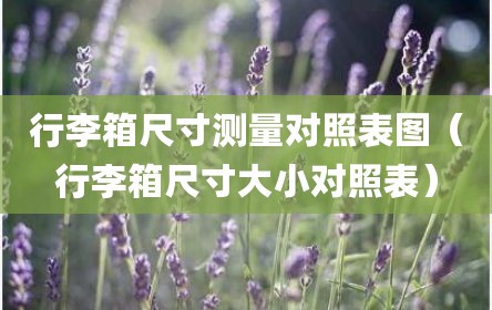 行李箱尺寸测量对照表图（行李箱尺寸大小对照表）