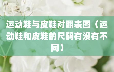 运动鞋与皮鞋对照表图（运动鞋和皮鞋的尺码有没有不同）
