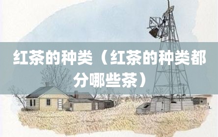 红茶的种类（红茶的种类都分哪些茶）