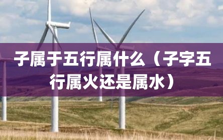 子属于五行属什么（子字五行属火还是属水）