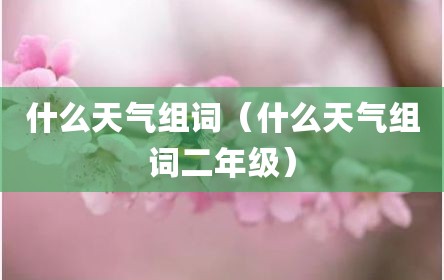 什么天气组词（什么天气组词二年级）