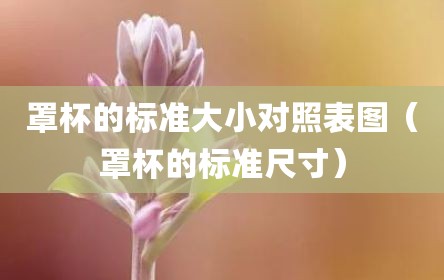 罩杯的标准大小对照表图（罩杯的标准尺寸）