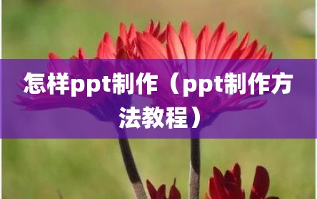 怎样ppt制作（ppt制作方法教程）