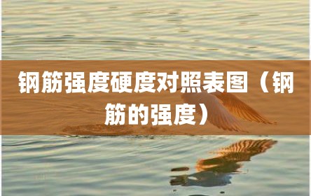 钢筋强度硬度对照表图（钢筋的强度）