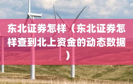 东北证券怎样（东北证券怎样查到北上资金的动态数据）