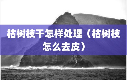 枯树枝干怎样处理（枯树枝怎么去皮）