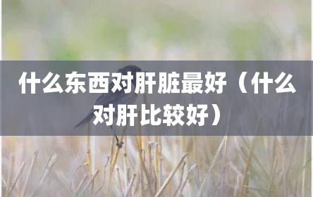 什么东西对肝脏最好（什么对肝比较好）
