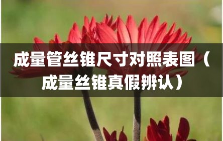 成量管丝锥尺寸对照表图（成量丝锥真假辨认）