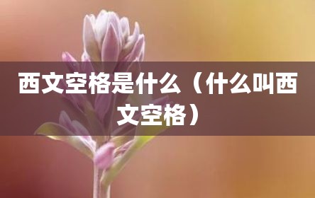 西文空格是什么（什么叫西文空格）