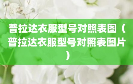 普拉达衣服型号对照表图（普拉达衣服型号对照表图片）