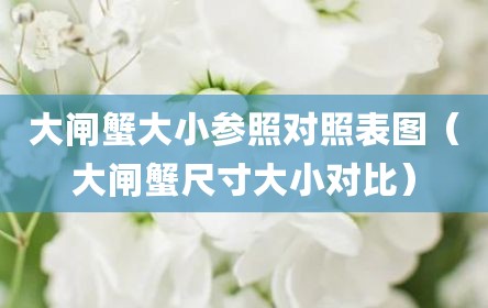 大闸蟹大小参照对照表图（大闸蟹尺寸大小对比）