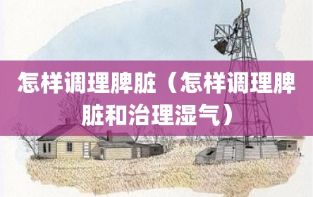 怎样调理脾脏（怎样调理脾脏和治理湿气）