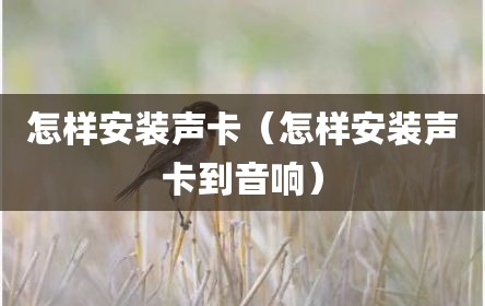 怎样安装声卡（怎样安装声卡到音响）