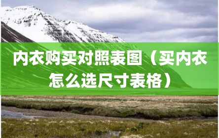 内衣购买对照表图（买内衣怎么选尺寸表格）