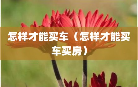 怎样才能买车（怎样才能买车买房）