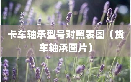 卡车轴承型号对照表图（货车轴承图片）