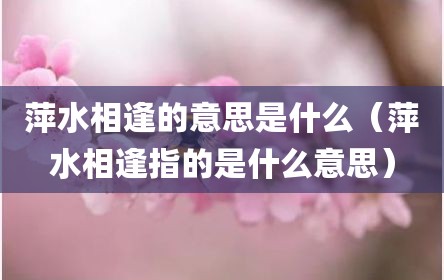萍水相逢的意思是什么（萍水相逢指的是什么意思）