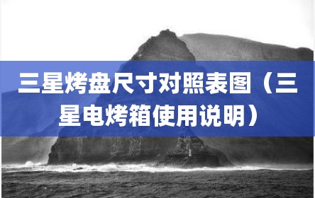 三星烤盘尺寸对照表图（三星电烤箱使用说明）