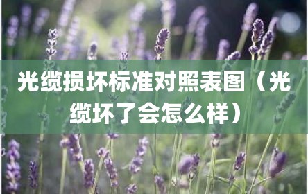 光缆损坏标准对照表图（光缆坏了会怎么样）