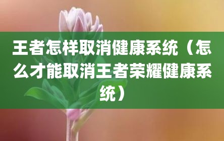 王者怎样取消健康系统（怎么才能取消王者荣耀健康系统）