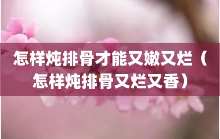 怎样炖排骨才能又嫩又烂（怎样炖排骨又烂又香）