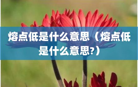 熔点低是什么意思（熔点低是什么意思?）