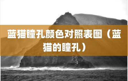 蓝猫瞳孔颜色对照表图（蓝猫的瞳孔）