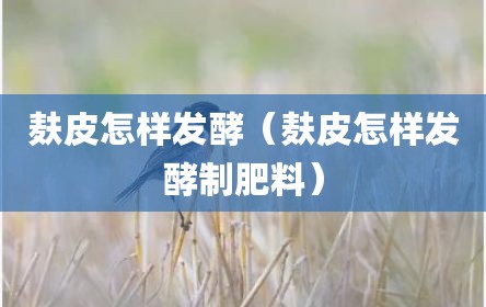 麸皮怎样发酵（麸皮怎样发酵制肥料）