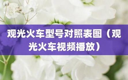 观光火车型号对照表图（观光火车视频播放）