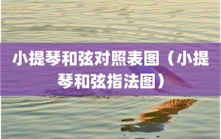 小提琴和弦对照表图（小提琴和弦指法图）