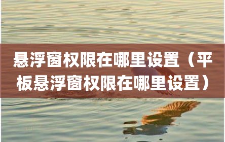 悬浮窗权限在哪里设置（平板悬浮窗权限在哪里设置）