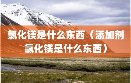 氯化镁是什么东西（添加剂氯化镁是什么东西）