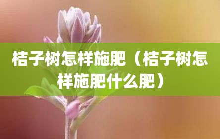 桔子树怎样施肥（桔子树怎样施肥什么肥）