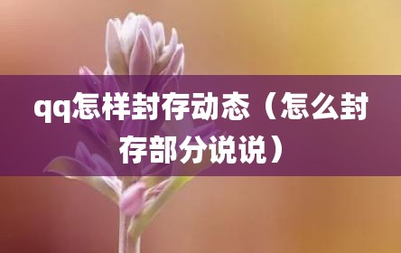 qq怎样封存动态（怎么封存部分说说）