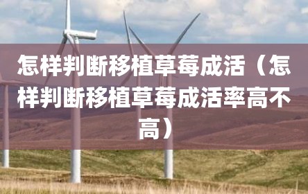 怎样判断移植草莓成活（怎样判断移植草莓成活率高不高）