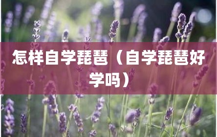 怎样自学琵琶（自学琵琶好学吗）
