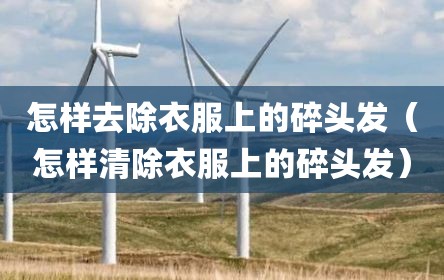 怎样去除衣服上的碎头发（怎样清除衣服上的碎头发）
