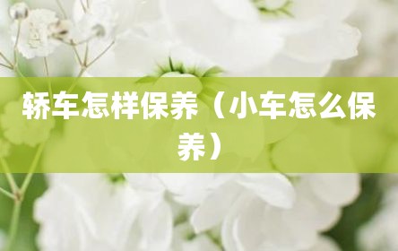 轿车怎样保养（小车怎么保养）