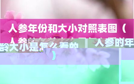 人参年份和大小对照表图（人参的年龄大小是怎么看的）