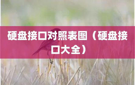 硬盘接口对照表图（硬盘接口大全）