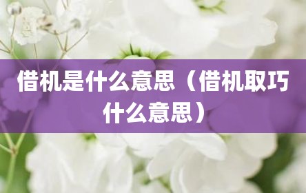 借机是什么意思（借机取巧什么意思）