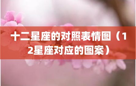 十二星座的对照表情图（12星座对应的图案）