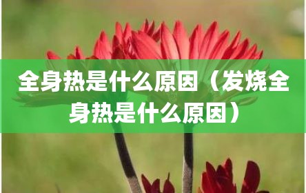 全身热是什么原因（发烧全身热是什么原因）