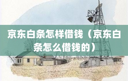 京东白条怎样借钱（京东白条怎么借钱的）