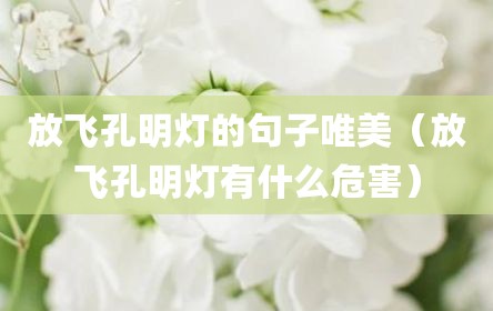 放飞孔明灯的句子唯美（放飞孔明灯有什么危害）