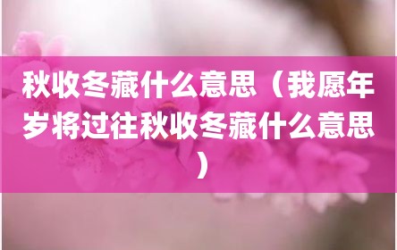 秋收冬藏什么意思（我愿年岁将过往秋收冬藏什么意思）