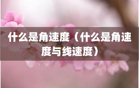 什么是角速度（什么是角速度与线速度）