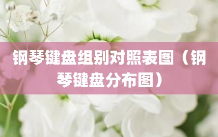 钢琴键盘组别对照表图（钢琴键盘分布图）