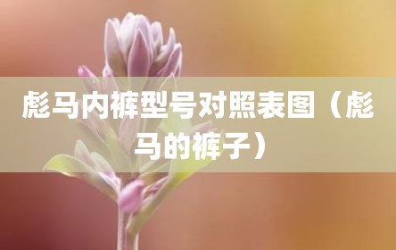 彪马内裤型号对照表图（彪马的裤子）